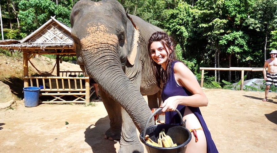 Phuket Elephant Jungle Sanctuary - Feed me Program - Mimi on tour